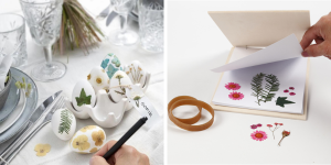 Pressede blomster og blade