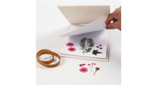Blomsterpresser i krydsfiner med papir.