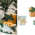 Dinosaur party snackbeholdere, 6 stk. Mix
