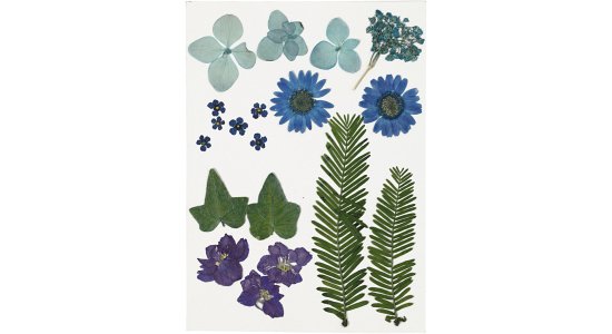 Trrede Blomster og blade, bl. 19 ass
