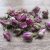 Trret spiselige blomster, Rosenknopper 10 g.DATOVARE